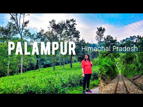 Palampur Himachal Pradesh | Palampur Tourist places | Palampur Travel Guide 2023 | Palampur Tour
