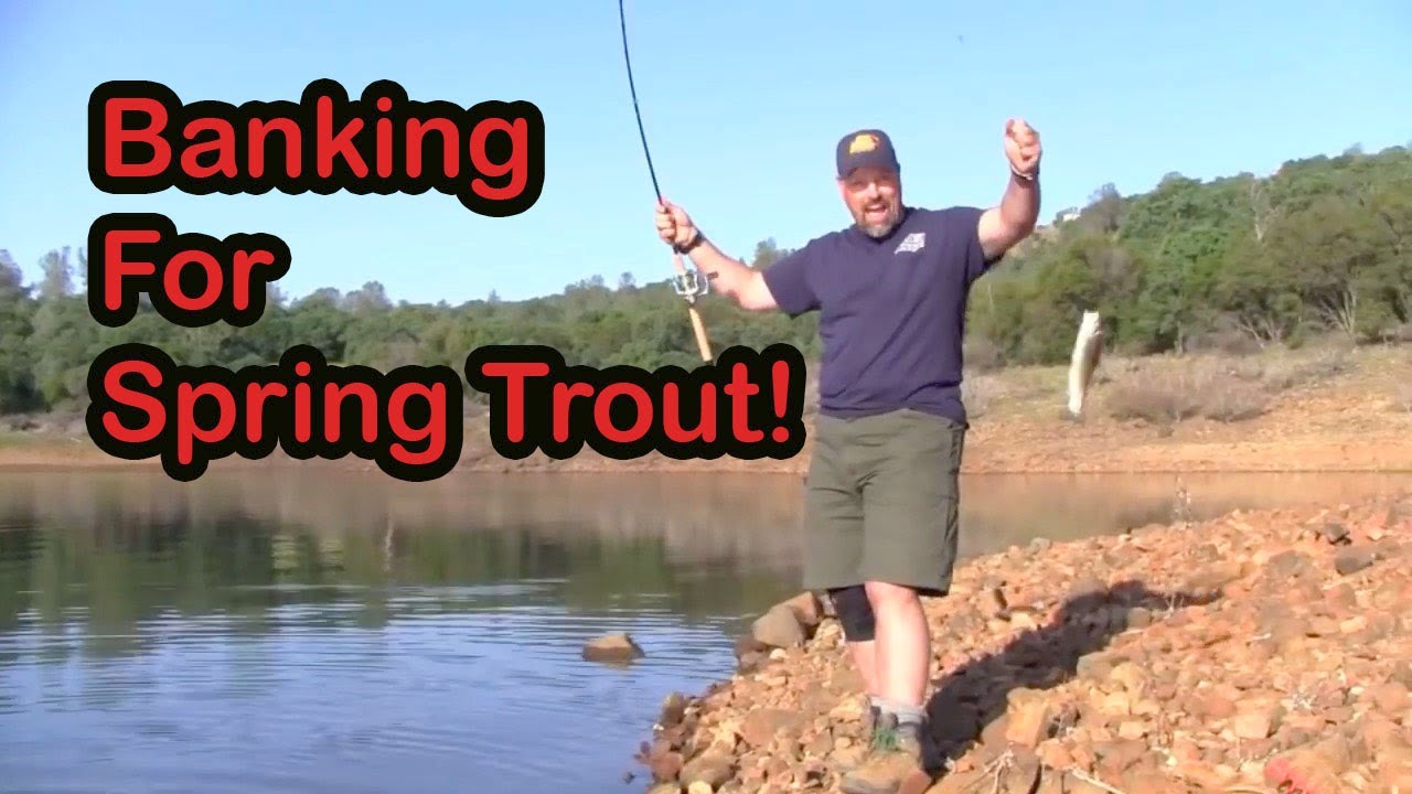 Bank Fishing For Trout The Basics! YouTube