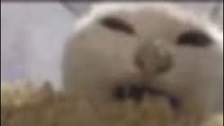 Muzan In The Sun Belike