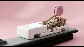 [FREE] Cute R&B Type Beat 'Moss & Lattice' | Sweet Dreamy Instrumental 2026
