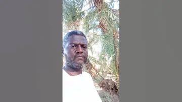 جمال الدين أحمد عبدالله كدرمة السودان الولاية الشمالية شمال دنقلا كرمة البلد 7 