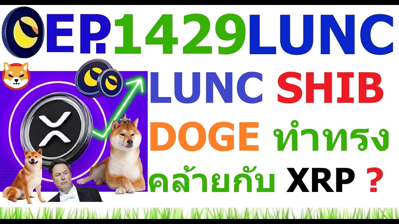 ⁣[Ep.1429] LUNC SHIB Dogecoin ทำทรงคล้ายกับ XRP หรือไม่