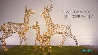 How to Assemble: Illuminated Reindeer Family | Lights4fun