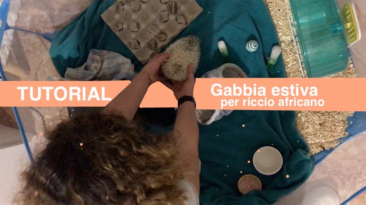 TUTORIAL gabbia estiva per RICCIO AFRICANO