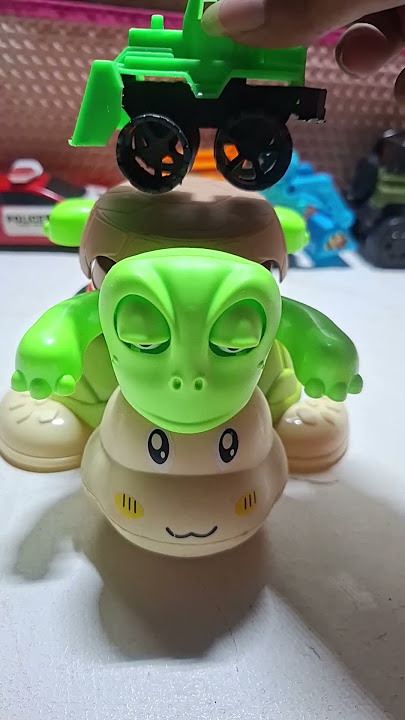 The Turtle Rollercoaster You Didn’t Know You Needed 🐢😍