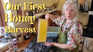 Our First Honey Harvest