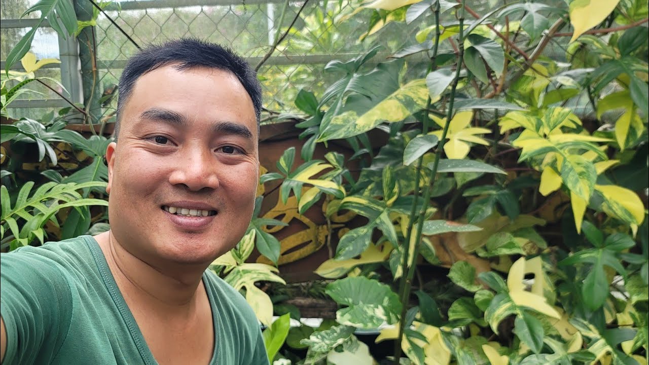 TRANG TRẠI LAN + CÀ PHÊ + MACCA + DỪA + CÂY ĂN TRÁI + RAU SẠCH NGUYỄN NGỌC HÀ