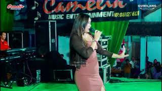 CAMELIA MUSIC - BEBAS - EVIS RENATA - WEDDING SEKAR & YANTO CEPOGO KEMBANG JEPARA