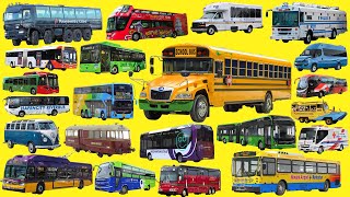BUSES COLLECTION | Collection of BUSES - School Bus, Police Bus, Ambulance Bus, City Bus