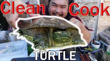 CLEAN, COOK AND EAT SOFT SHELL TURTLE Wrapped in Grape Leaves