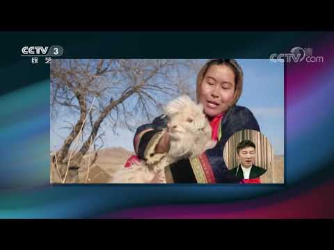 [越战越勇]杨帆现场连线图拉 图拉家的羊多到数不清楚！| CCTV综艺