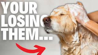 9 Ways You're Losing Your Dog's Love (Without Knowing It)