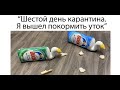 Лютые приколы. 1000 день карантина. ЕДЕТ КРЫША