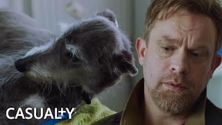 Doctor Says Goodbye To Beloved Dog | Casualty | BBC Studios
