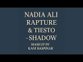 Nadia Ali Rapture Tiesto Shadow Mashup
