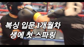 복싱 입문 1개월차 복린이의 생에 첫 스파링( 처음 치고 잘함)