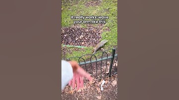 How To SUMMON Any Squirrel 🐿️