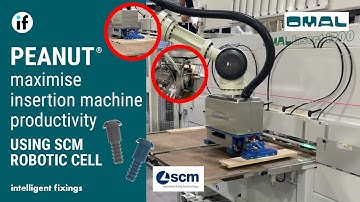 NEW Omal PEANUT Insertion Machine | Using SCM Robotic Cell to Maximise Productivity