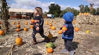 Farrari Farms Pumpkin Patch Reno, NV