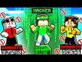 HO BARATO BANNANDO I MIEI AMICI su UN PILASTRO DI BEDROCK in MINECRAFT!