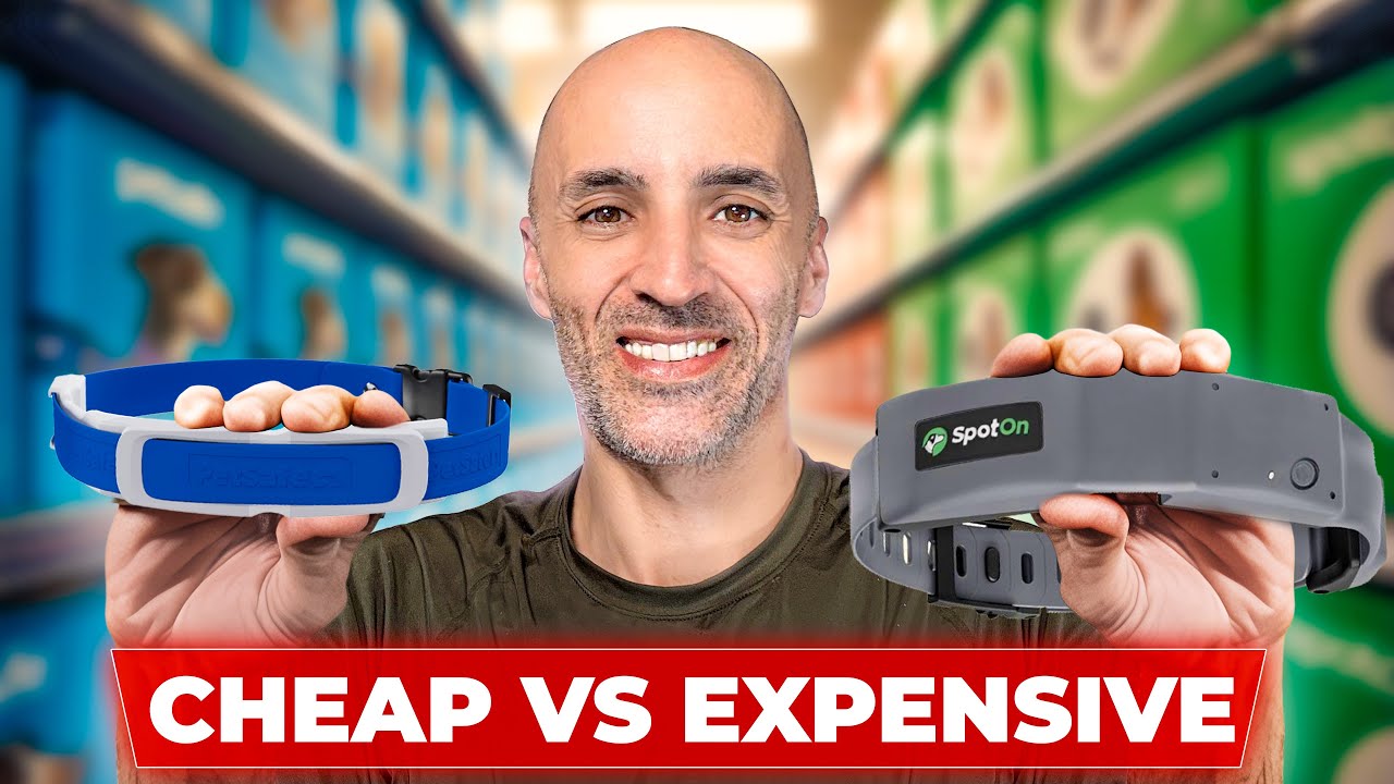 Best Wireless Dog Fence 2025: Which One is Best?