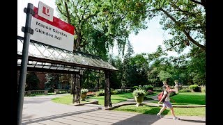 Discover York Universitys Glendon Campus