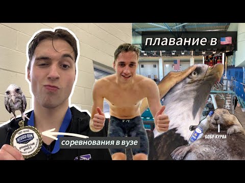 Видео: Плавание | Как проходят соревнования в США?/ учёба заграницей