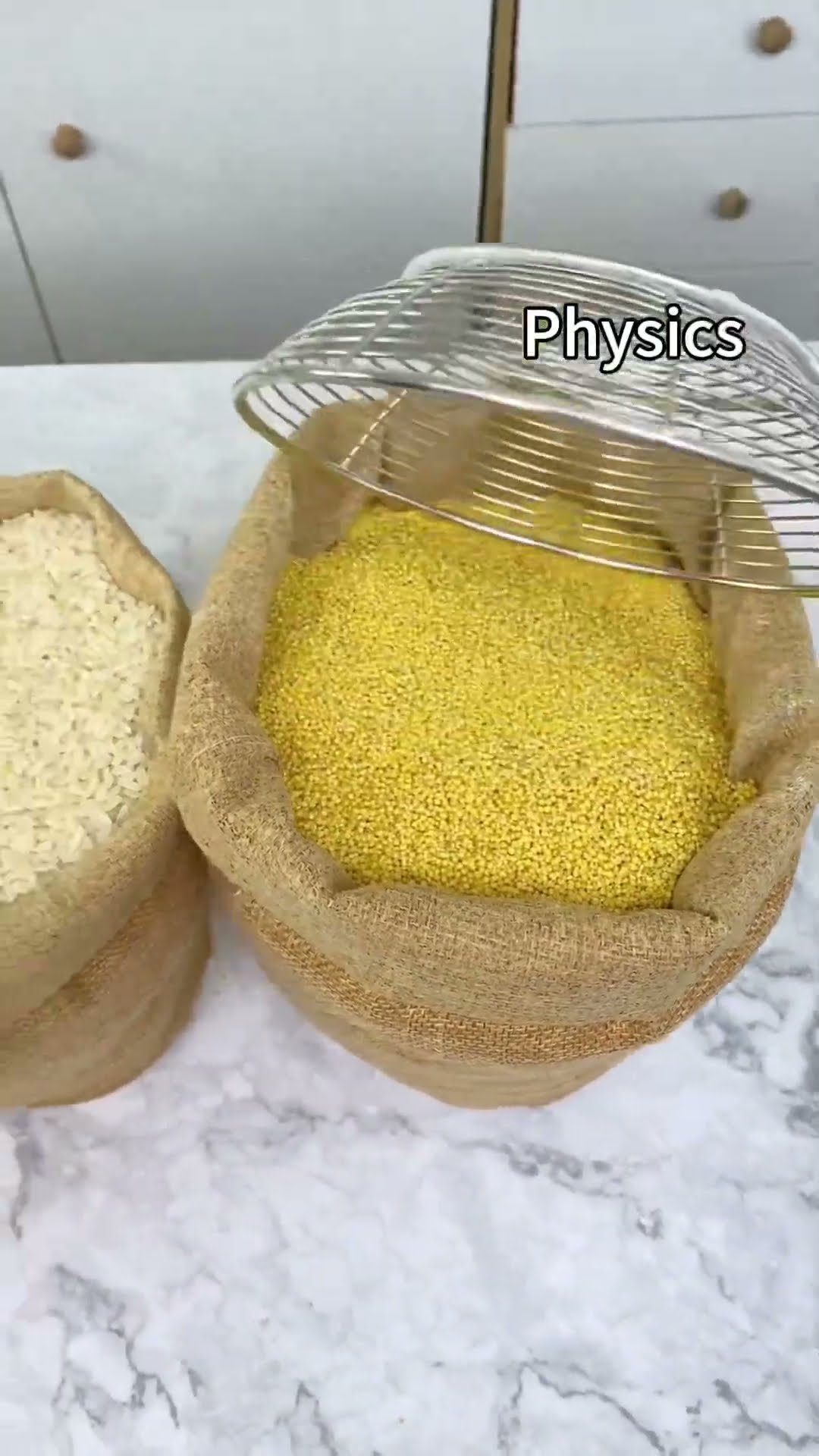 ??Dr. Puff's exploring cool physics tricks—can you guess which ones are real? ?✨ #thatlittlepuff