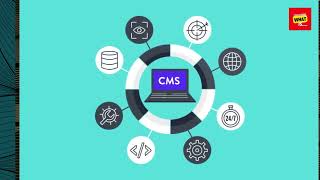 How to Choose the Right Content Management System CMS for Your Website