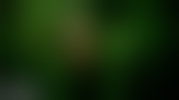 Pearl Jam - Life Wasted (Official Video)