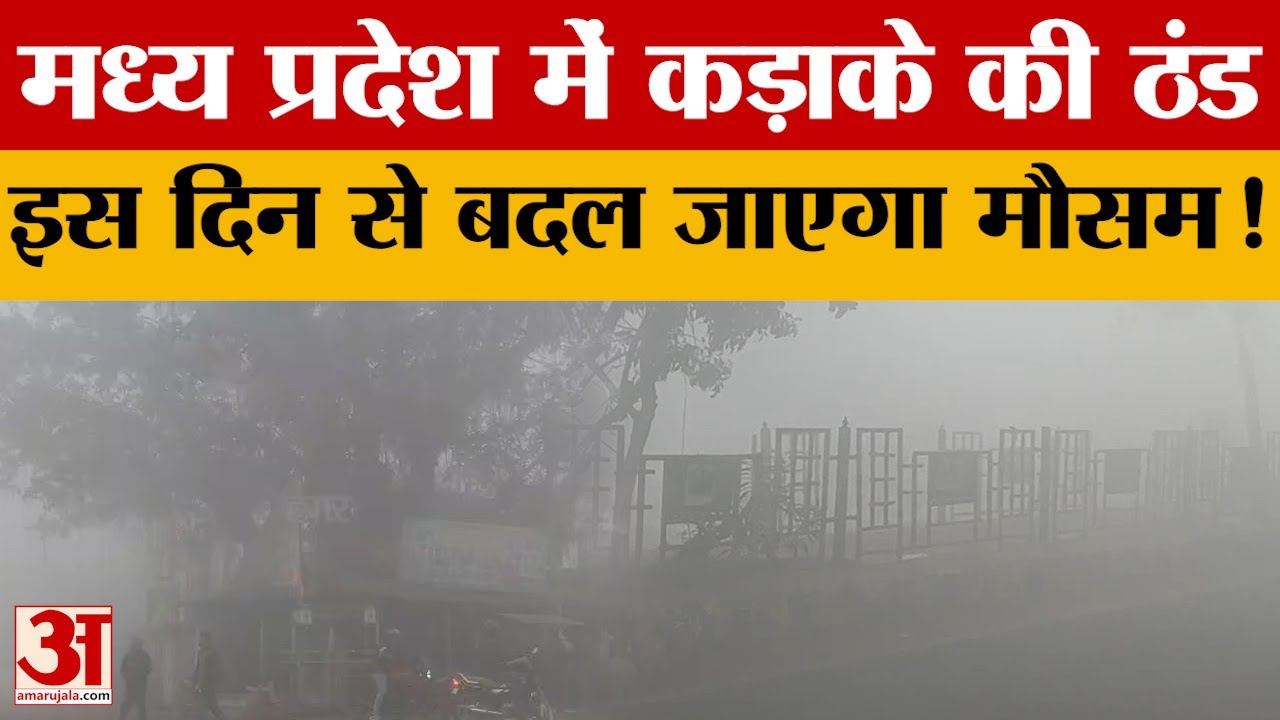 MP Weather Report : MP में ठंड का प्रकोप, Gwalior-Chambal में सबसे ज्यादा ठंड, इस दिन से बदलेगा मौसम