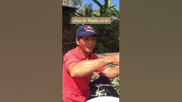 #shorts Câu cá bằng mồi con chuồng chuồng nước