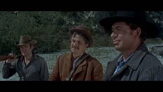 Happy Birthday To The One & Only Tom Simcox 💙🐎💙🐎💙🐎💙 Details