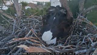 1-26-2026 Egg Is Here