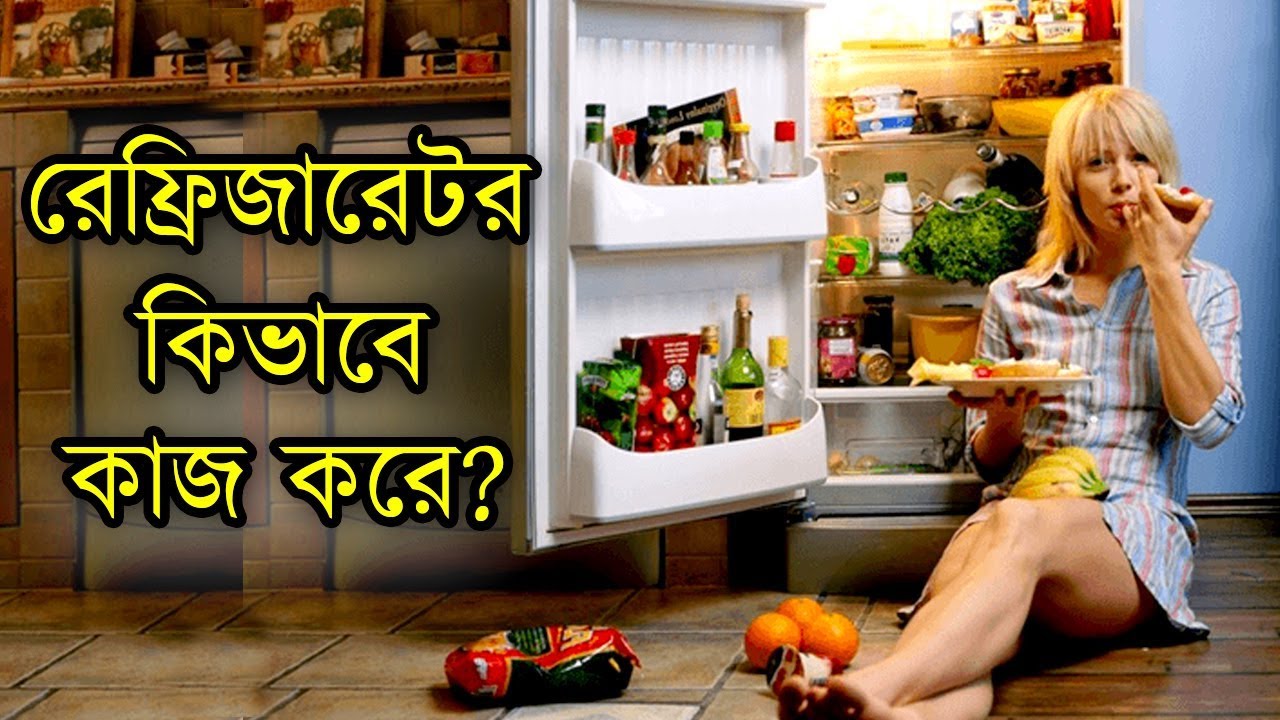 রেফ্রিজারেটর কিভাবে কাজ করে How does a Refrigerator work ? (fridge