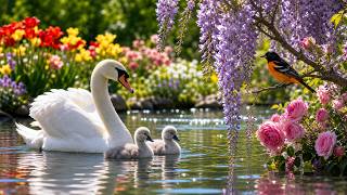 Family Flower Garden 🐣 3 Hours Relaxing Piano & Birdsong for Deep Sleep & Calm (2026) screenshot 3