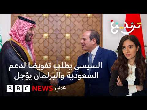 لماذا أرجأ البرلمان المصري التصويت على تفويض لإرسال قوات إلى السعودية؟