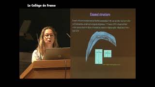 Perspectives on vertebrate evolution: topics and problems (19) - Armand de Ricqlès (2009-2010)
