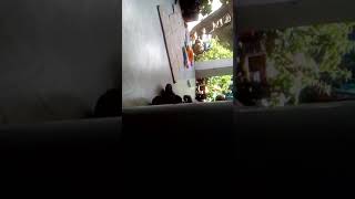 Espiando A Mi Prima Y A Mi Hermano