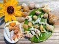 Minutes for Minis