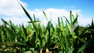 Rep. Tim Ryan: Changing U.S. Food Policy Can Cut Costs