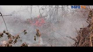 Liputan Penanggulangan Kebakaran Hutan & Lahan 2016