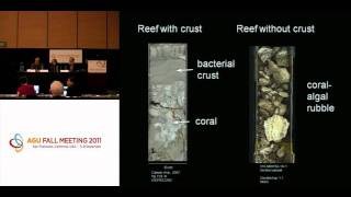 Fall Meeting 2011 Press Conference: Ocean Acidification 1