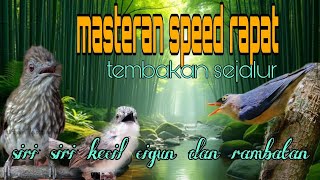 Masteran tembakan rapat speed sejalur ❗ siri siri cigun dan rambatan 🔥🔥