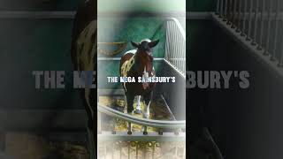 I Unlocked The Fastest Horse In Red Dead Online The Mega Sainsburys