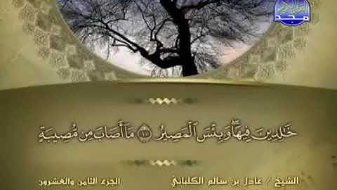 سورة التغابن 64 - 114 عادل الكلباني - قراءة مرتلة