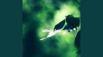 Scintillating Backdrops for Sunrise Coffee