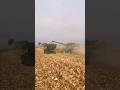 Iowa corn harvest 2025