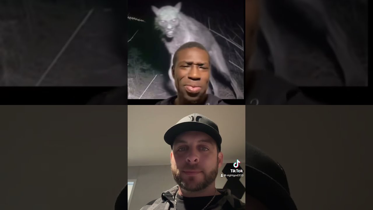 Dogman Caught On Trailcam In The UK Fyp Shorts Nightgod333 Storytime