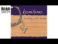 Kumihimo Brading with Beads by Beadsmith